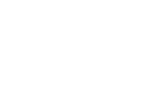 Novo Nordisk